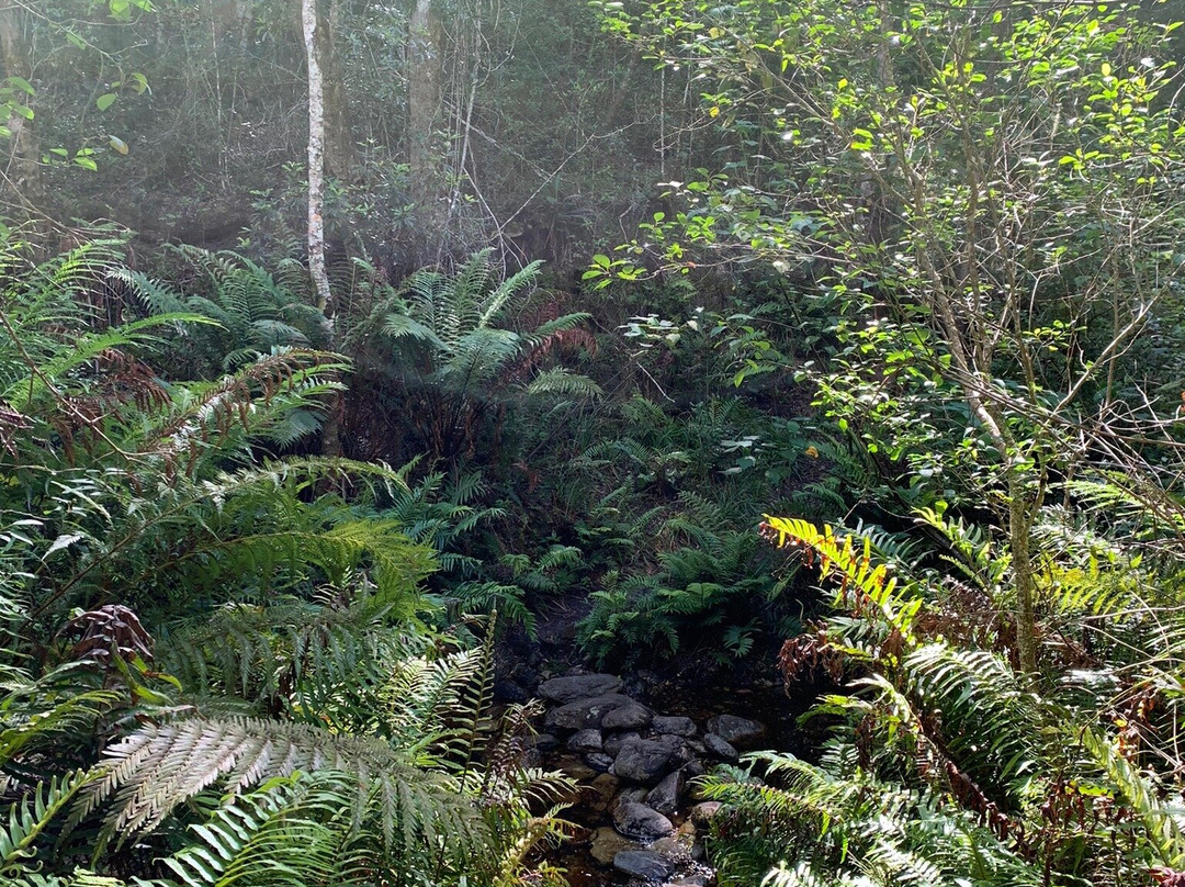 Terblans Nature Walk-克尼斯纳必去景点