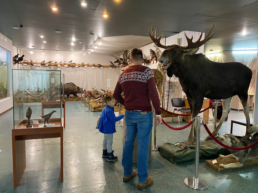 Nature Museum of The Kostroma Region景点图片