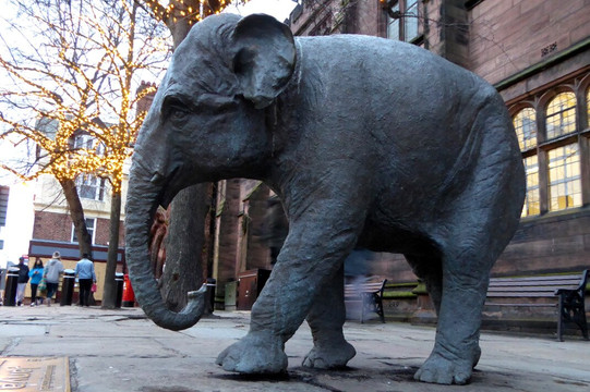 Treasure Hunt Chester-切斯特必去景点