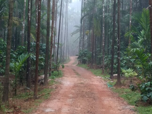 Hosamane Farm Inn主图