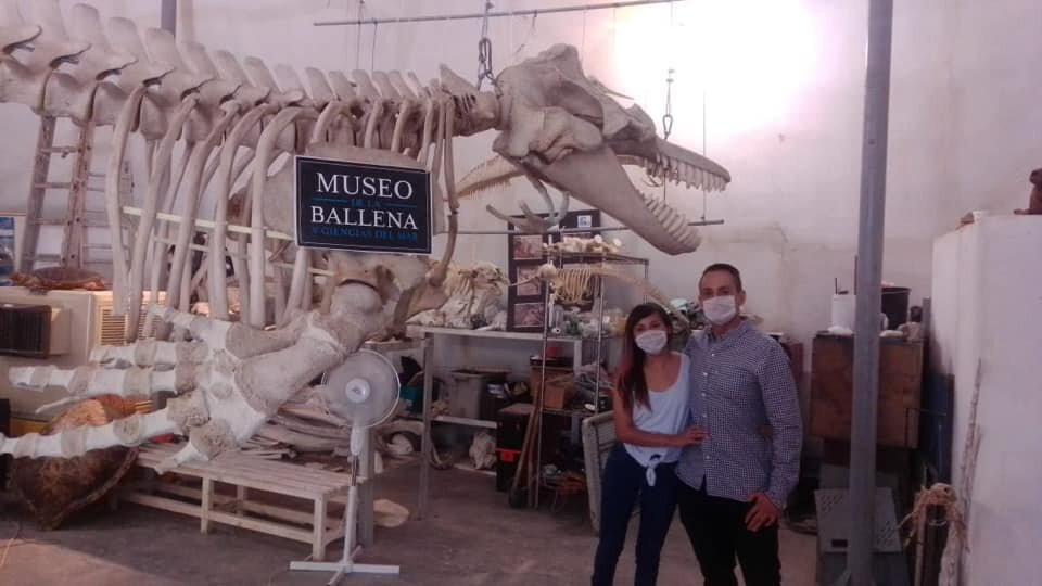 Taller De Osteología Museo De La Ballena-拉巴斯必去景点