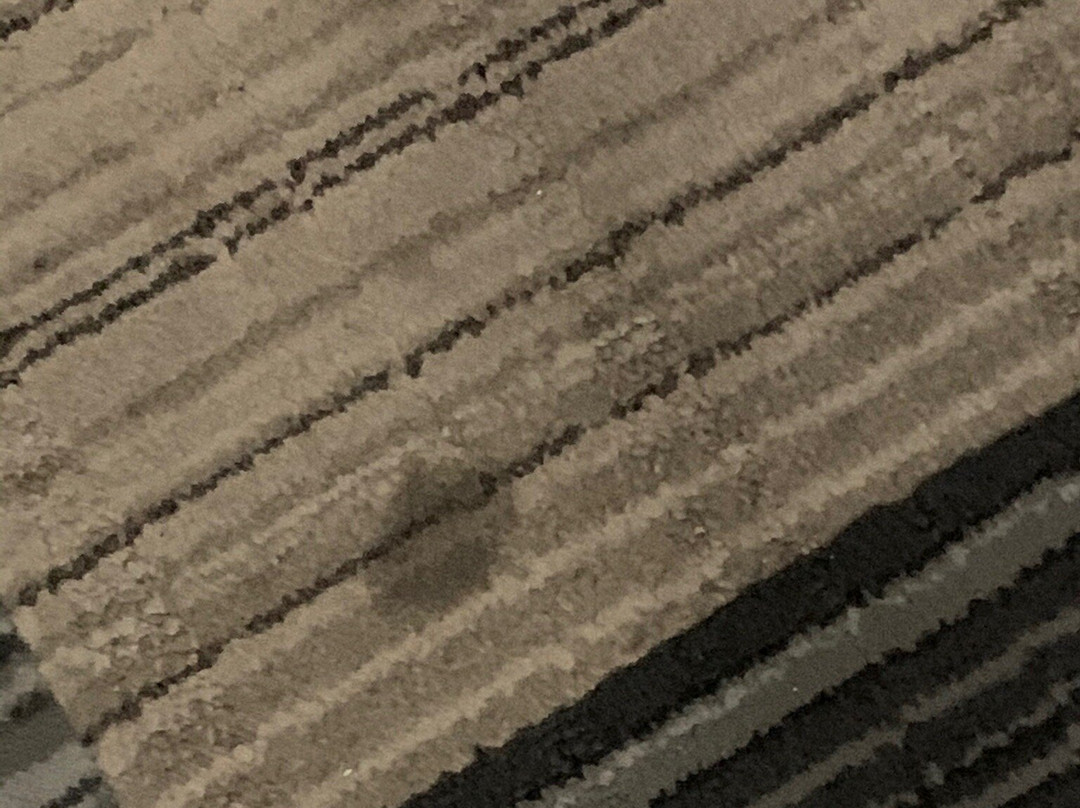 Hampton Inn Toledo/oregon主图