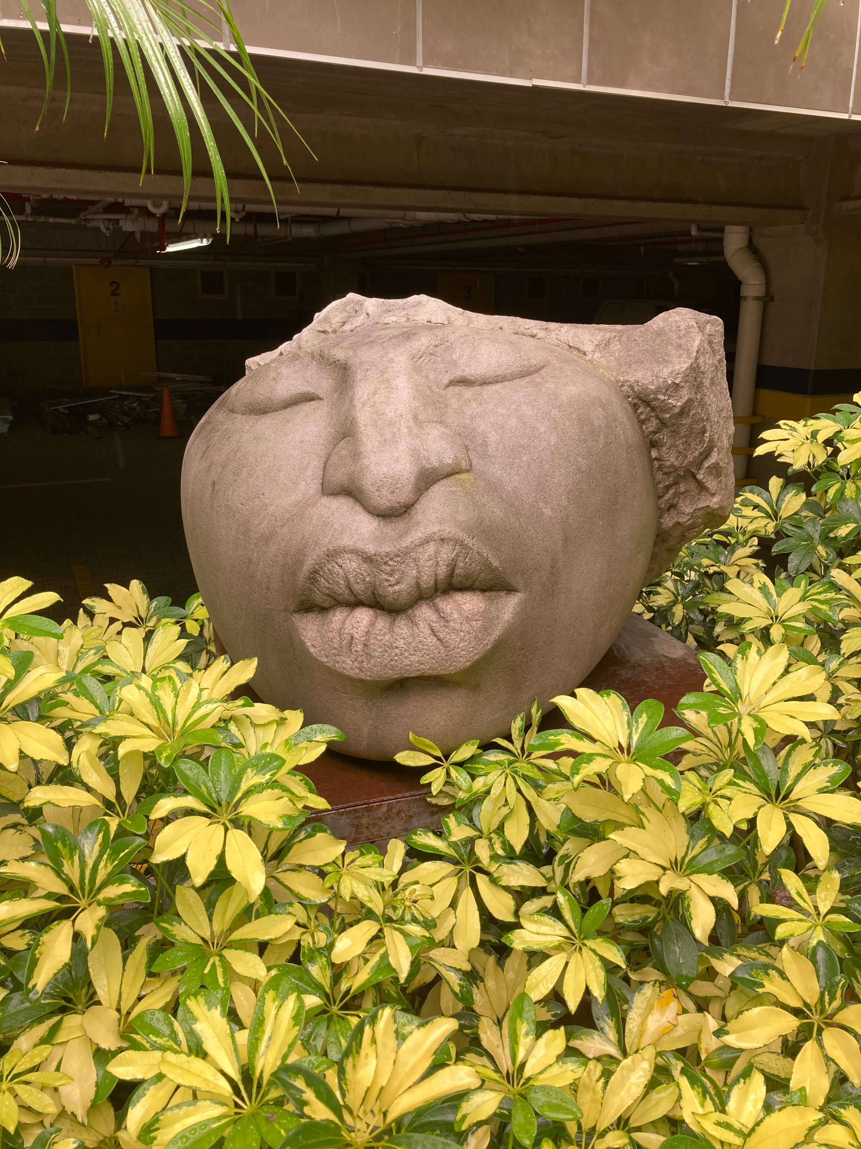 Studio Hotel Boutique-浴室