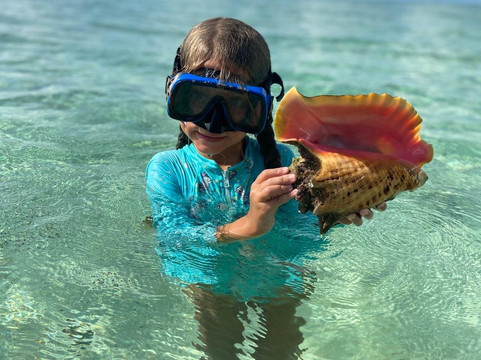 Pig Beach Bahamas Tours-Spanish Wells必去景点