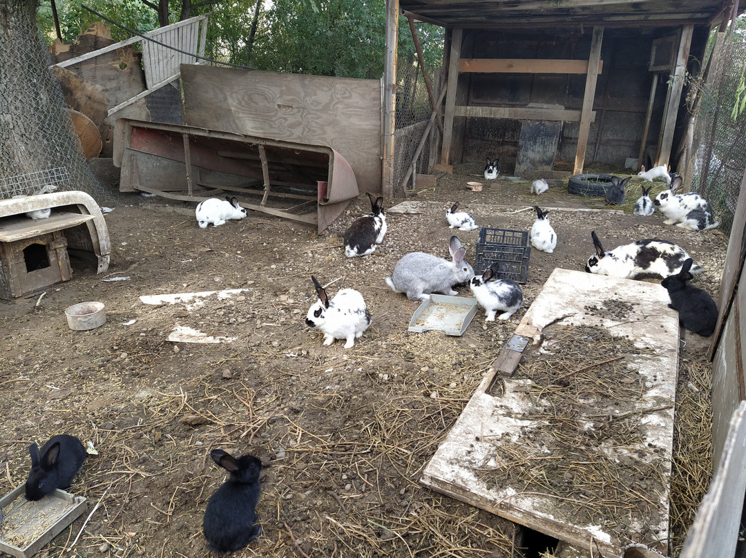 Escape the Schmitz-索非亚必去景点