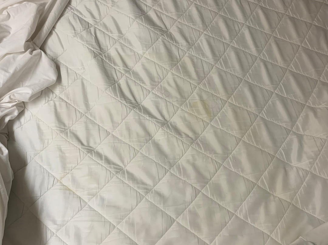 Days Inn by Wyndham Yadkinville主图