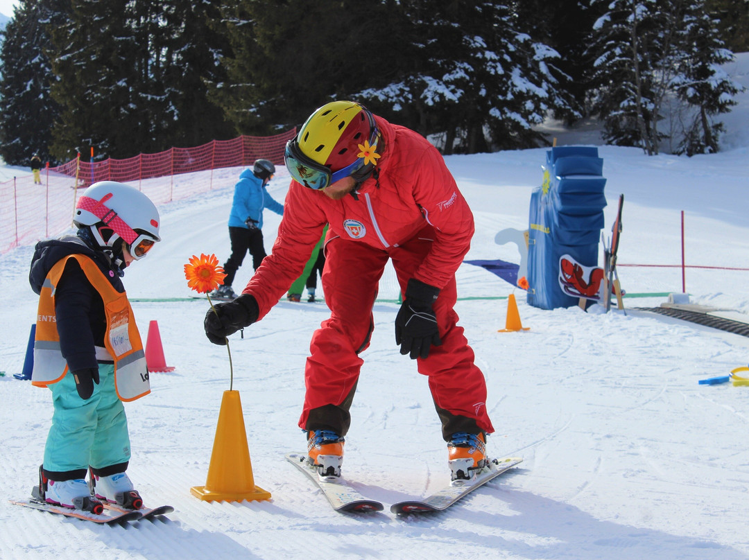 Schweizer Ski- und Snowboardschule Lenk景点图片