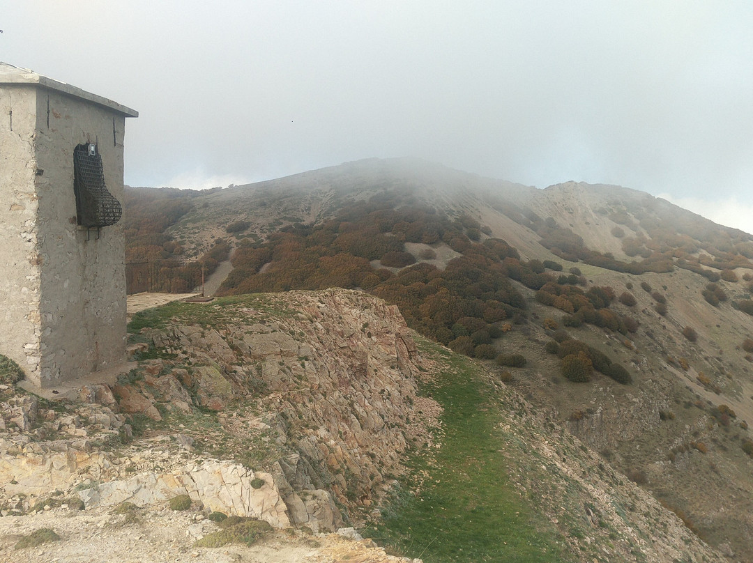 Santuario della Madonna dell'Alto景点图片