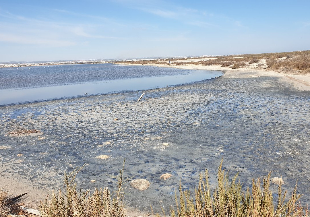 Paraje de Las Salinas-San Pedro del Pinatar必去景点