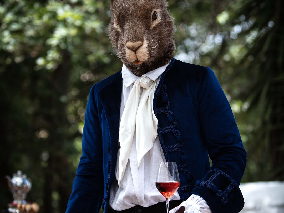 Hazendal Wine Estate-斯泰伦博斯必去景点