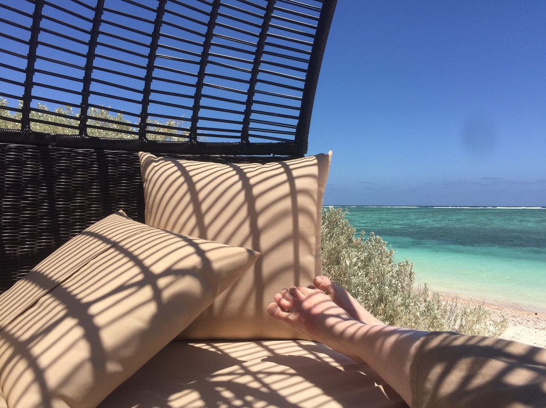 萨尔萨利斯尼加卢礁酒店主图