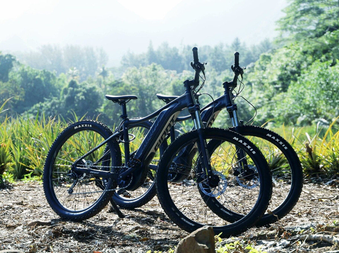 Electric Motors Moorea-莫雷阿岛必去景点