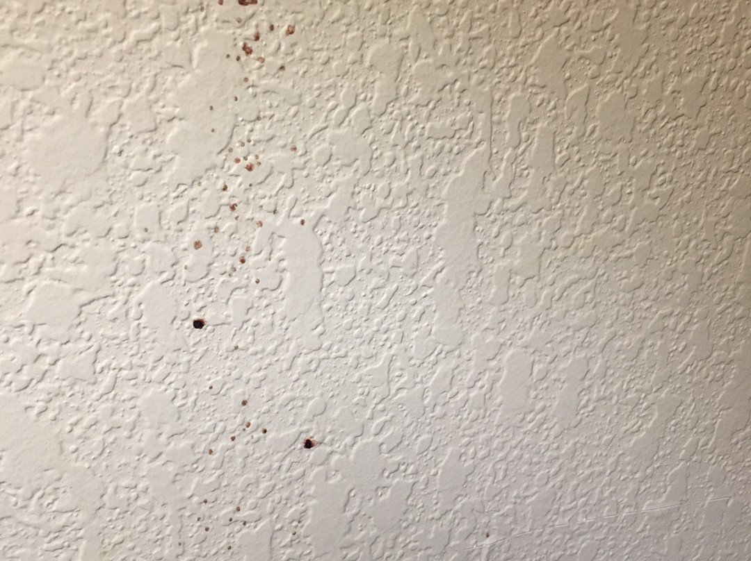 Country Inn & Suites by Radisson, Anderson, SC主图