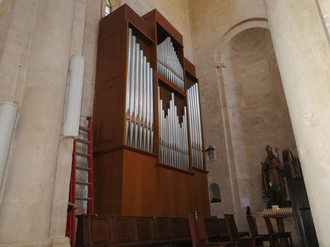 Concattedrale di Ruvo di Puglia-Ruvo Di Puglia必去景点