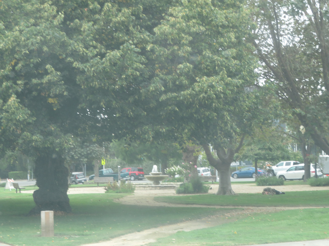 Mission State Park-圣克鲁斯必去景点