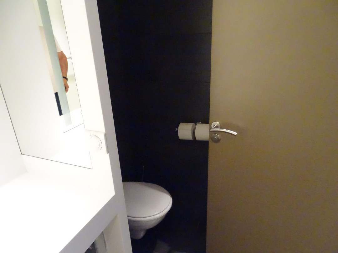 贝斯特韦斯特德拉宝斯特酒店主图