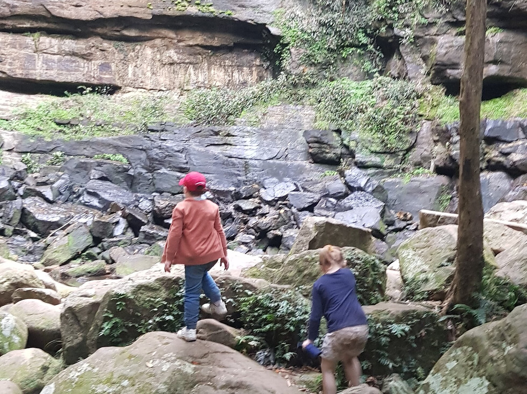 Gap Creek Falls Trail景点图片