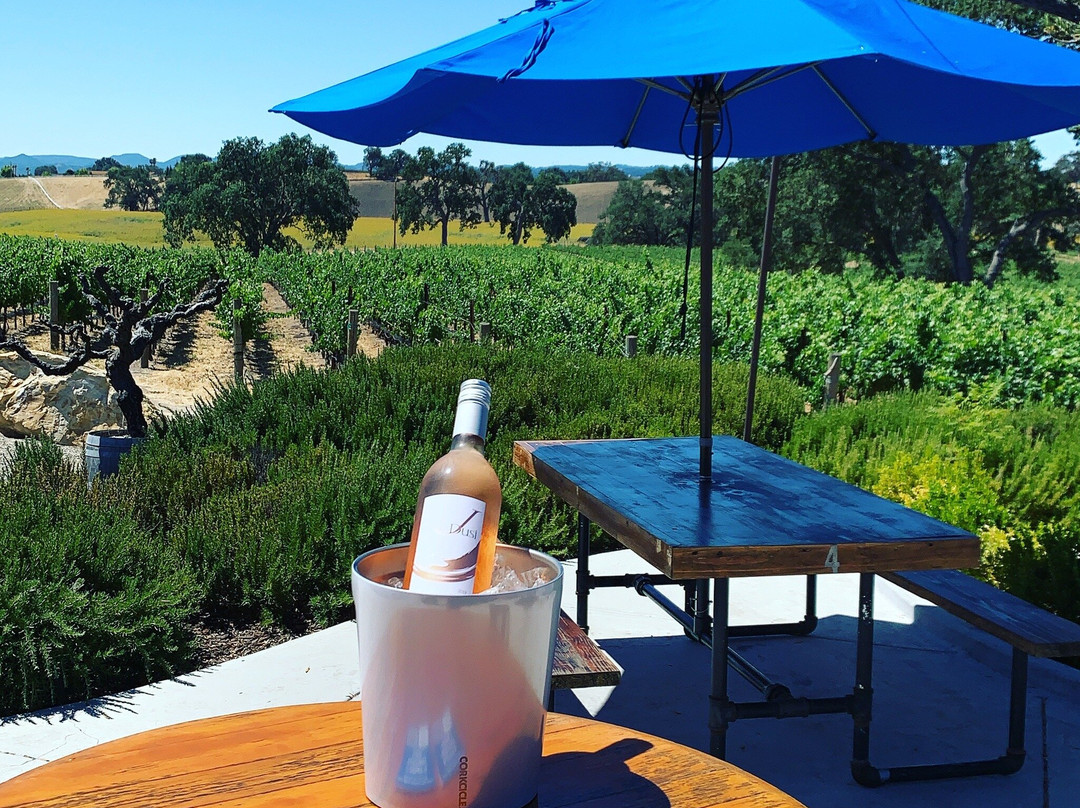 J Dusi Winery景点图片