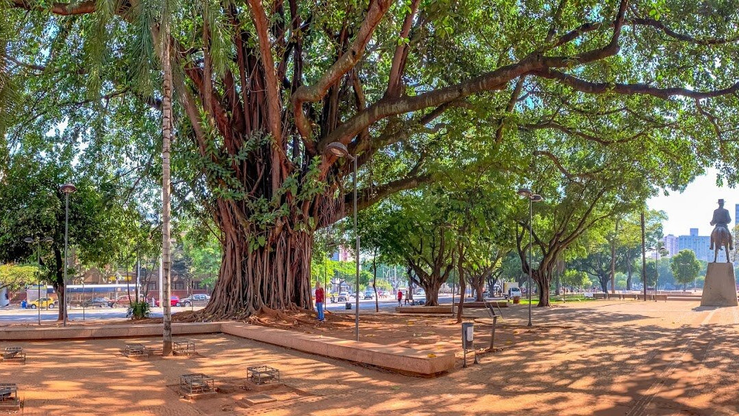 Praça Cívica-戈亚尼亚必去景点