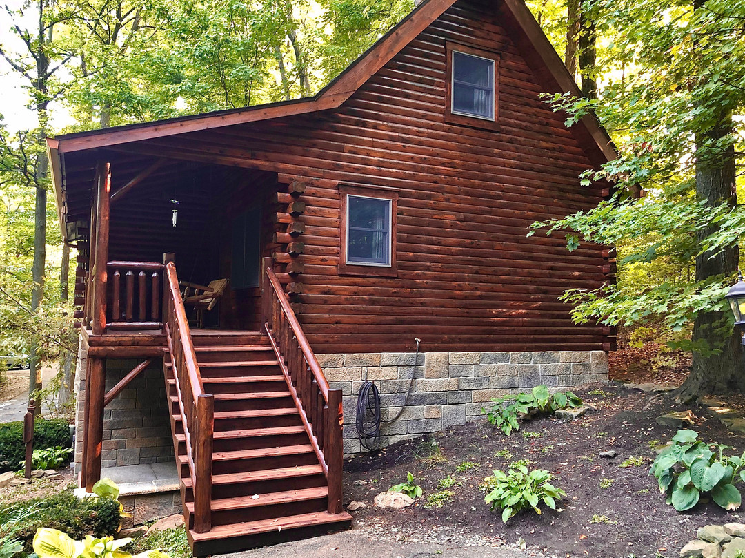 Donna's Premier Cabin Lodging主图