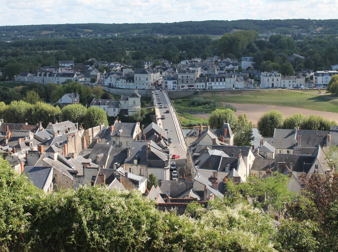 Pont De Chinon-希农必去景点