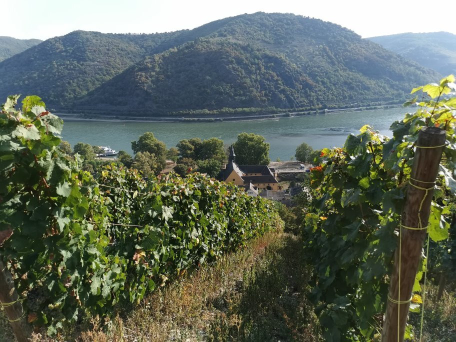 Burg Stahleck-巴哈拉赫必去景点