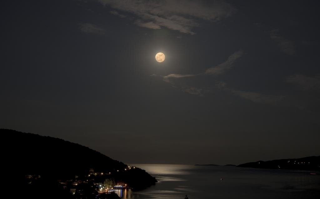 Stella Studios主图