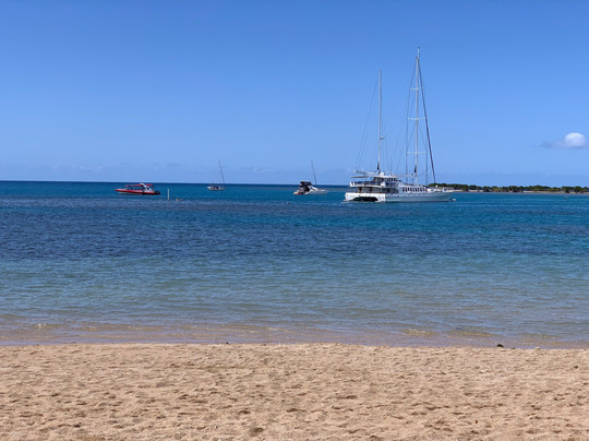 Wavedancer Low Isles Cruise-道格拉斯港必去景点
