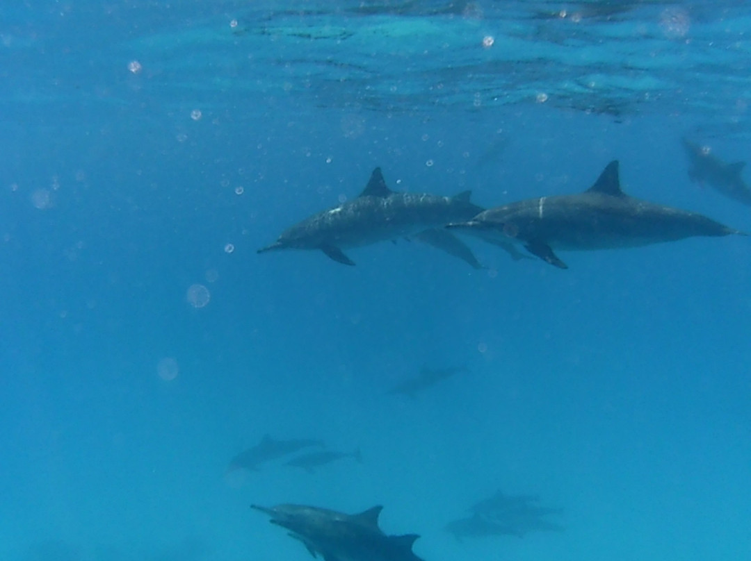 4 Ever Sea-马萨阿拉姆必去景点