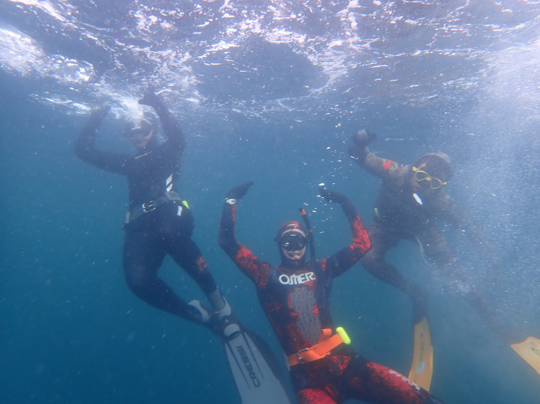 MBAY Freediving-蒙特雷必去景点