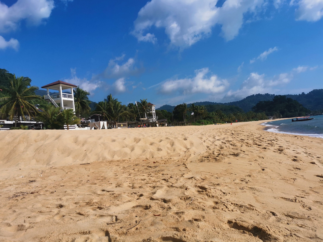 1511 Coconut Grove主图