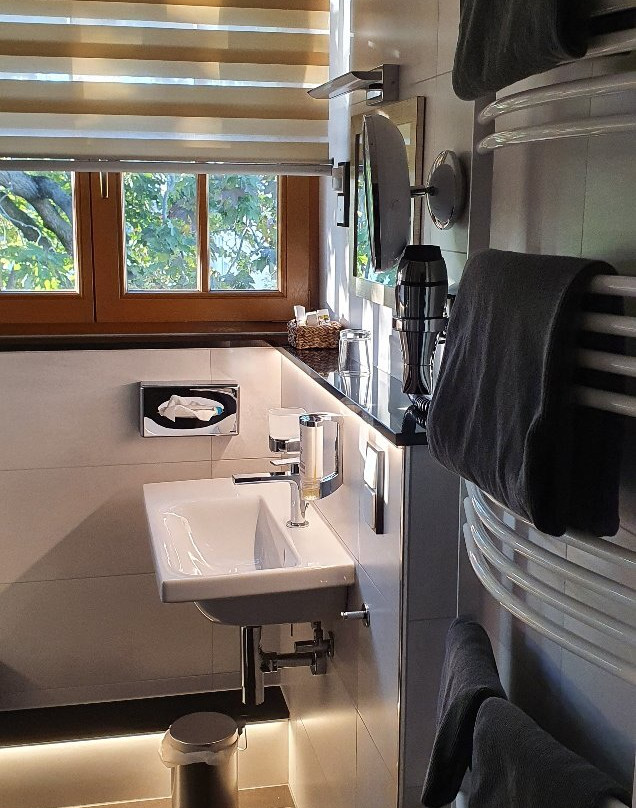 Parkhotel Plauen主图