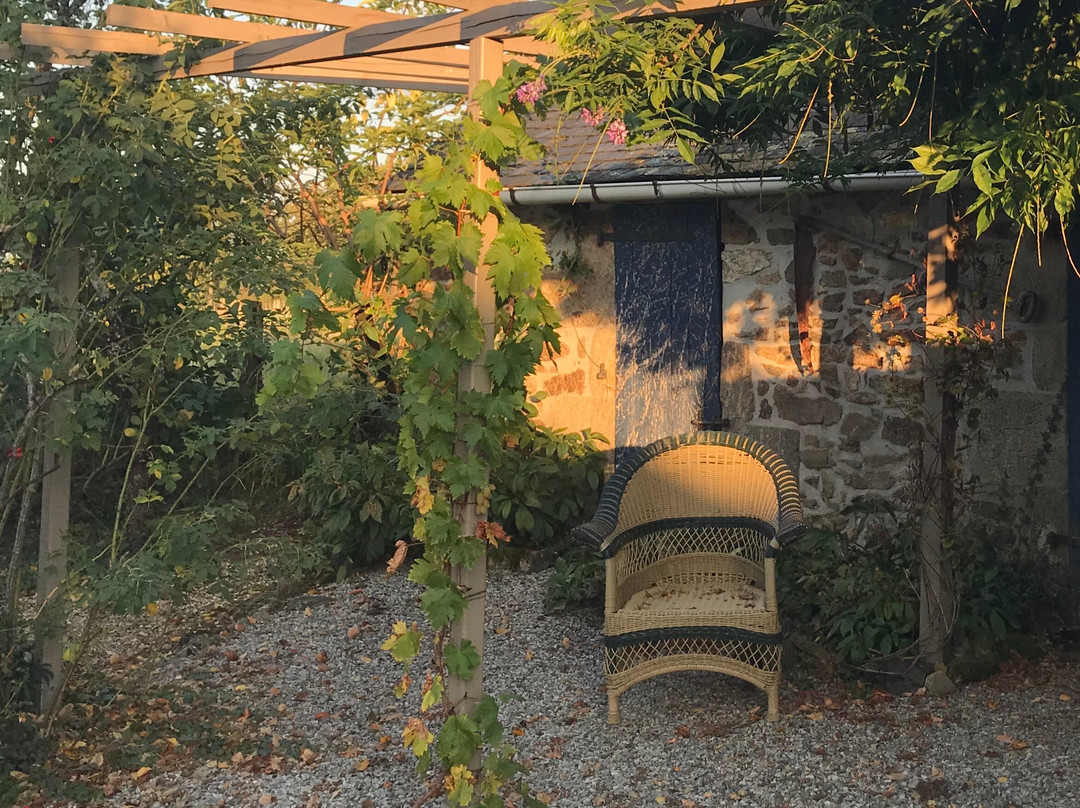 B&B Fleur de Lys Bleue主图