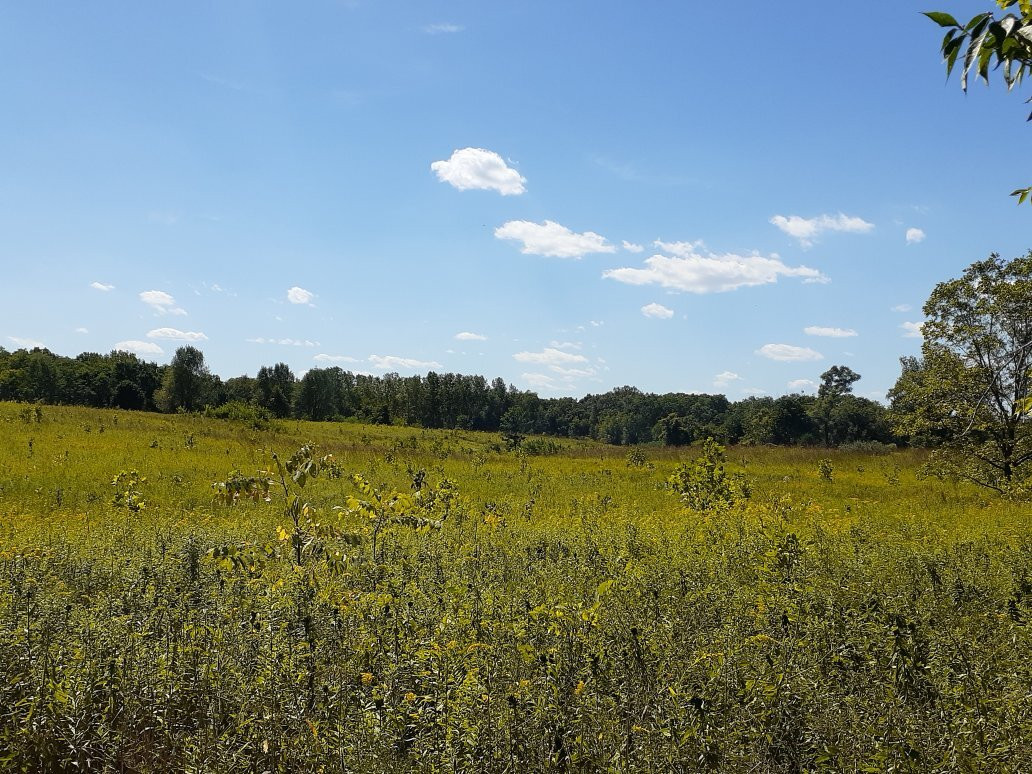 Meadowbrook Nature Preserve景点图片