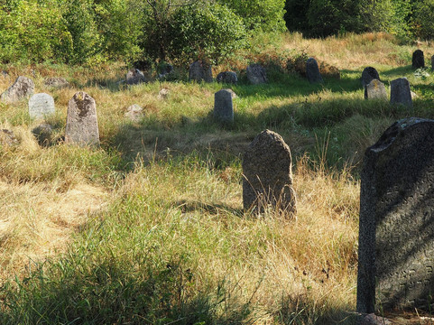 Jewish Old Cemetery In Krynki