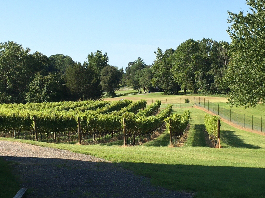 Robin Hill Farm & Vineyards景点图片