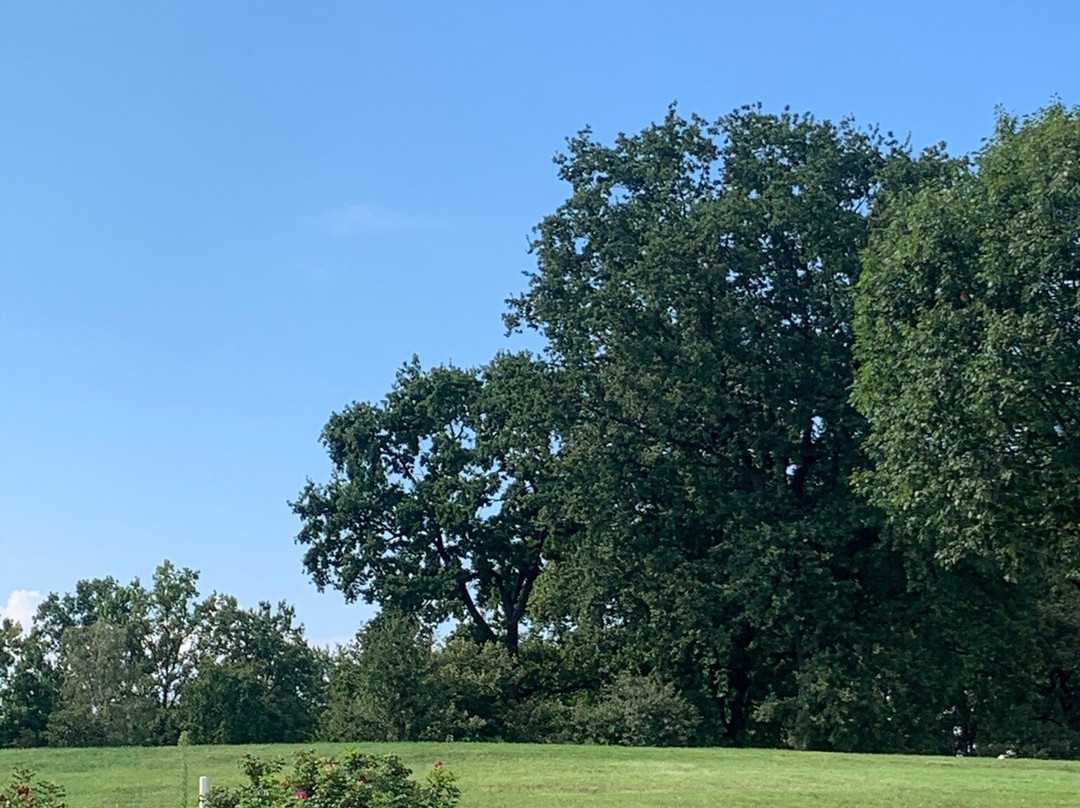 Golf Club Castelconturbia-Agrate Conturbia必去景点