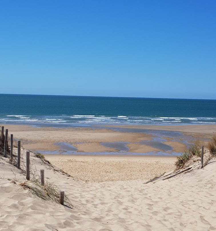 Plage de la Coubre景点图片