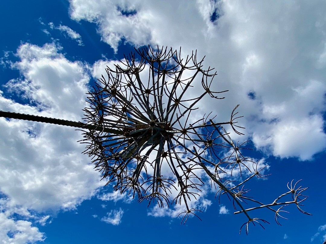 BernArt Maze-Maitland必去景点