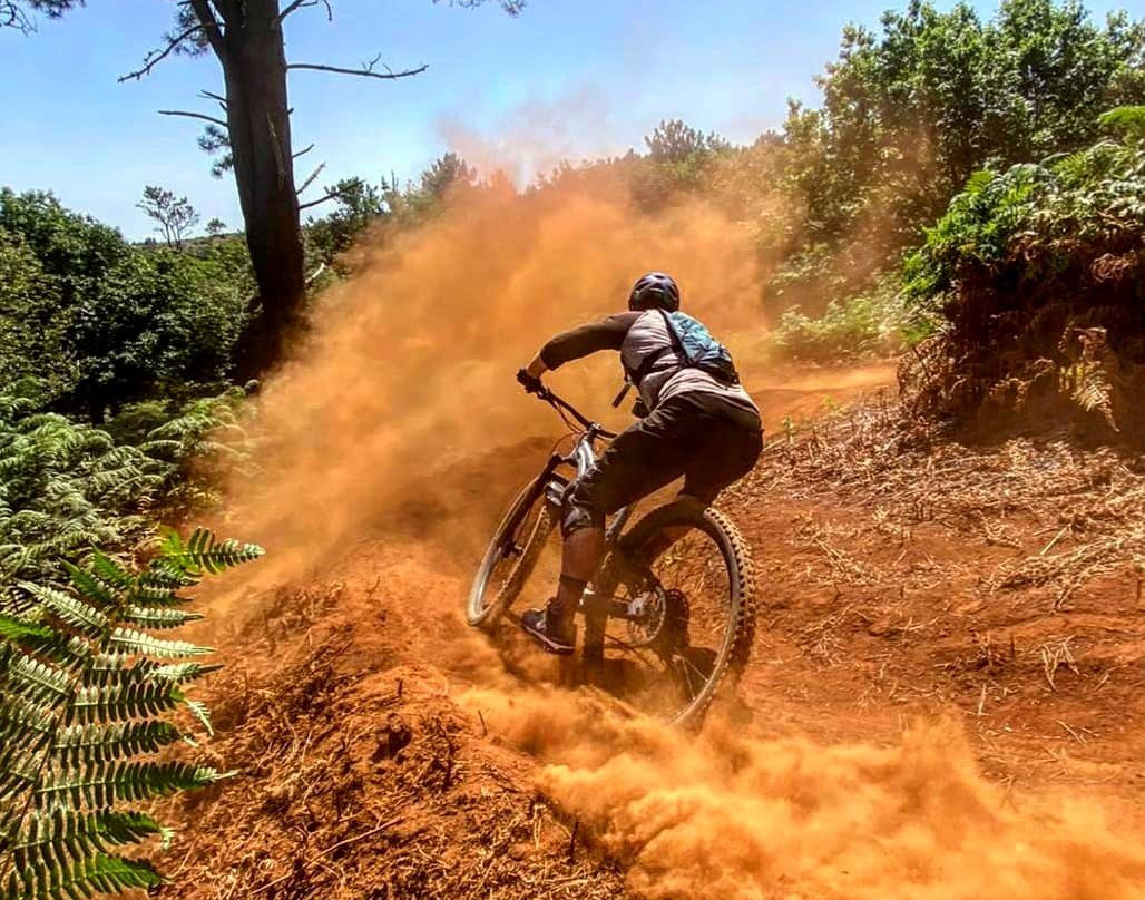 Freeride Mountain Biking Madeira Island-沙尔必去景点