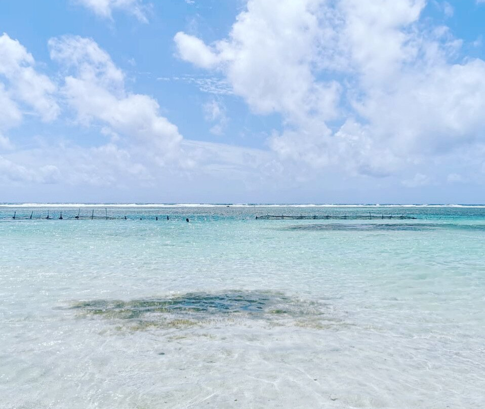 Paraíso Tours-Bacalar必去景点