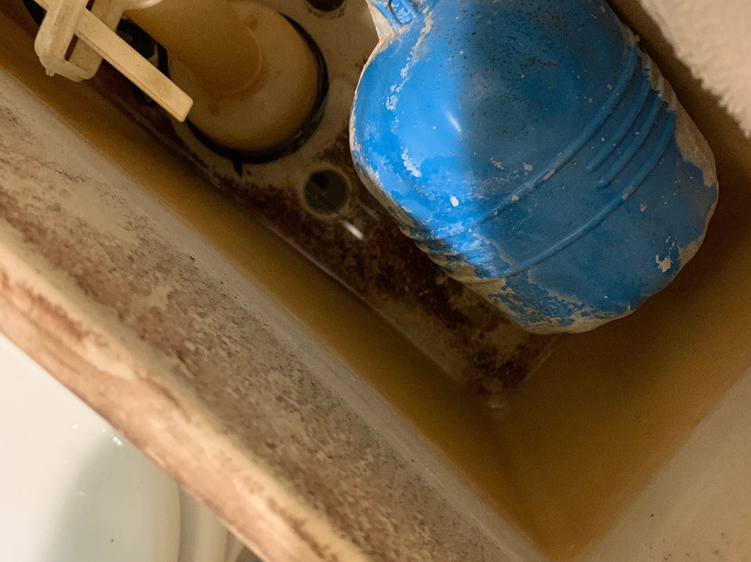 阿拉莫莎速8酒店主图