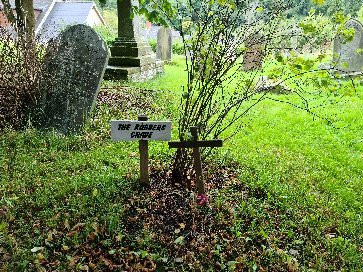 Robber's Grave at St. Nicholas' Church景点图片