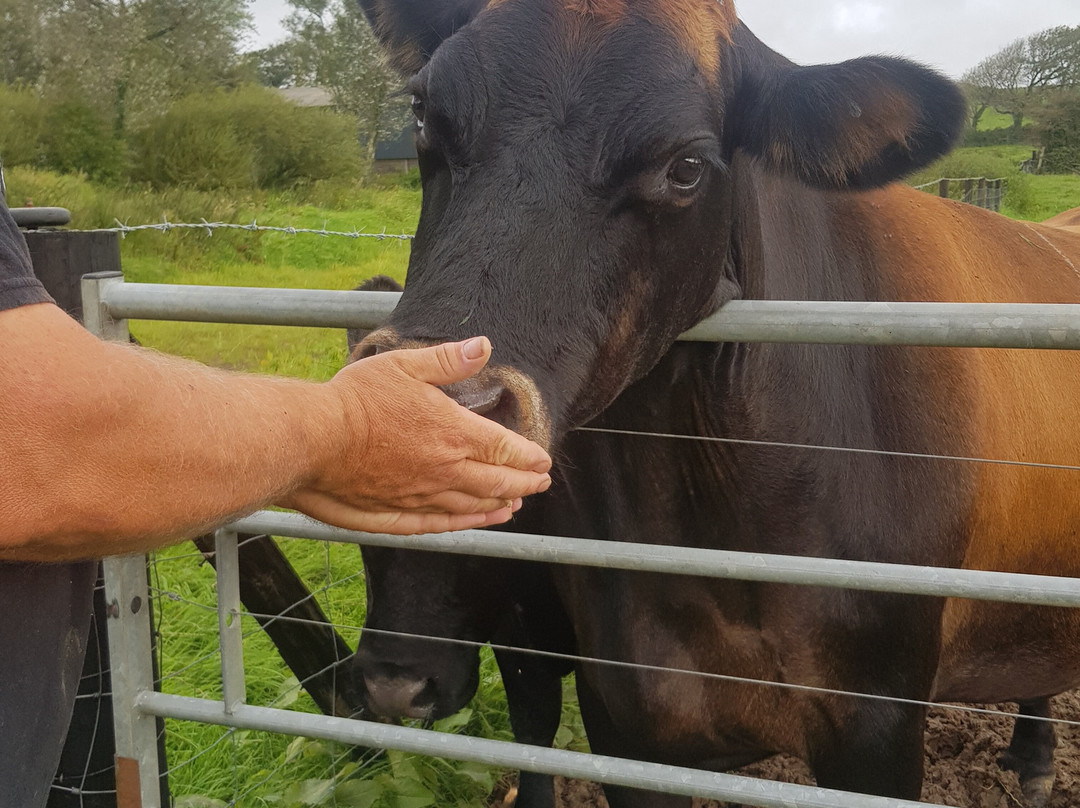 Barton Gate Farm Guesthouse主图