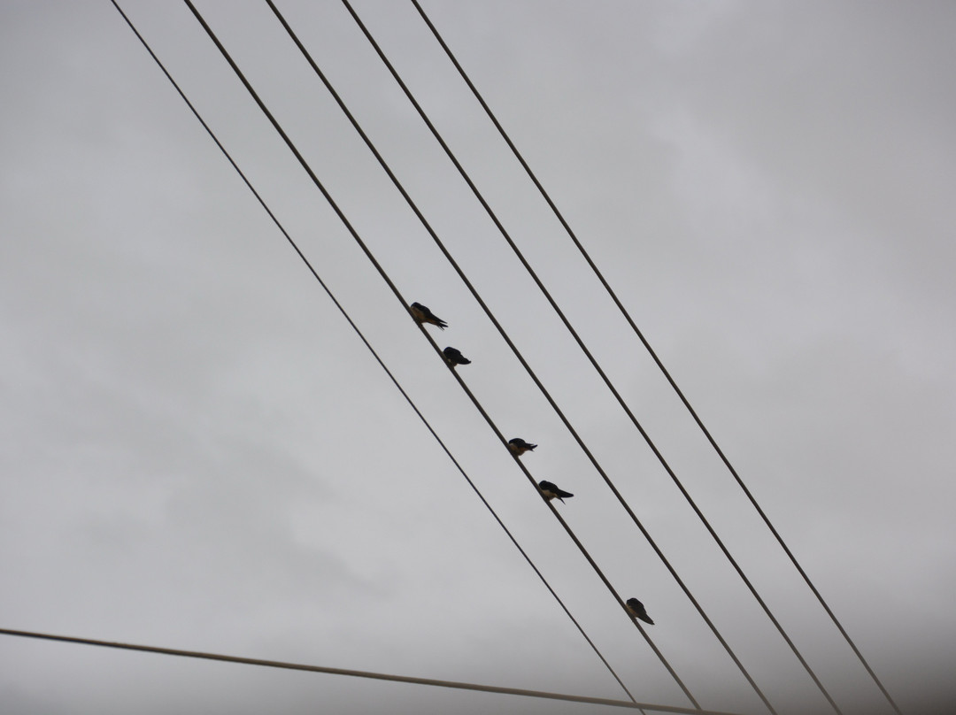 Thari Monastery-Laerma必去景点