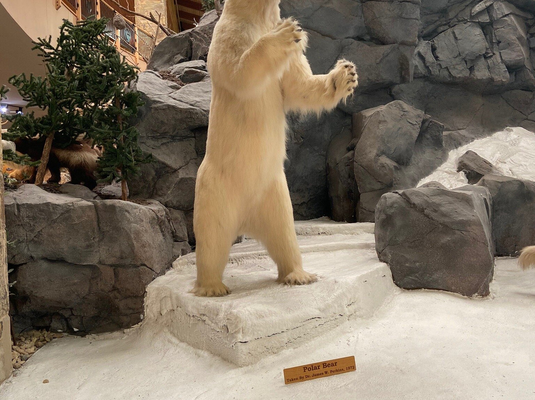 Cabela's-Buda必去景点