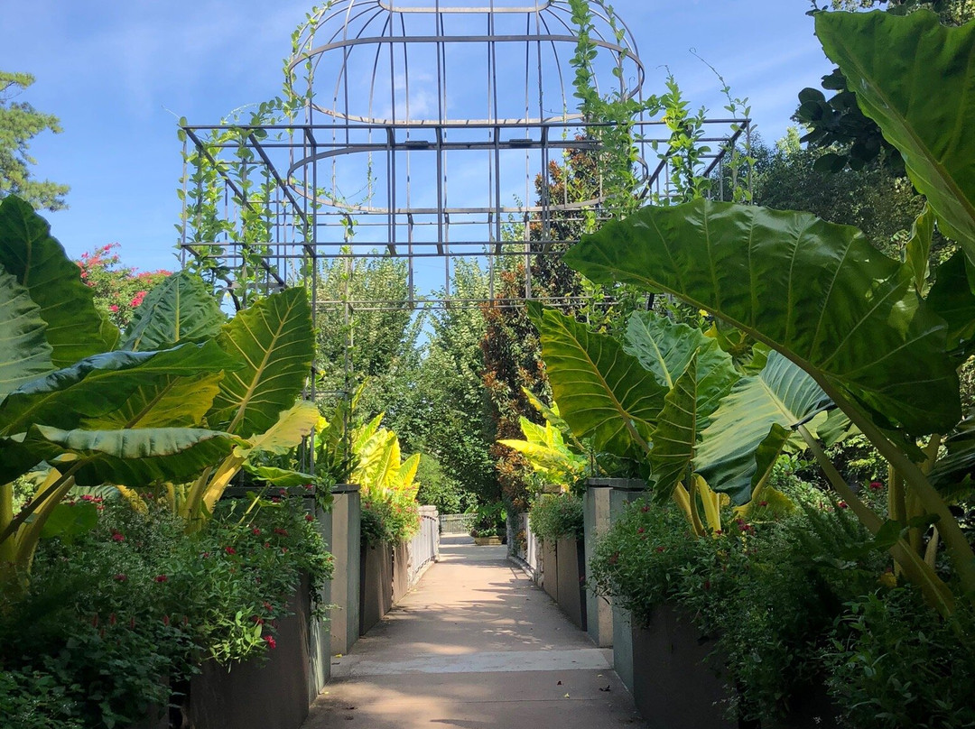 Atlanta Botanical Garden Gainesville-盖恩斯维尔必去景点