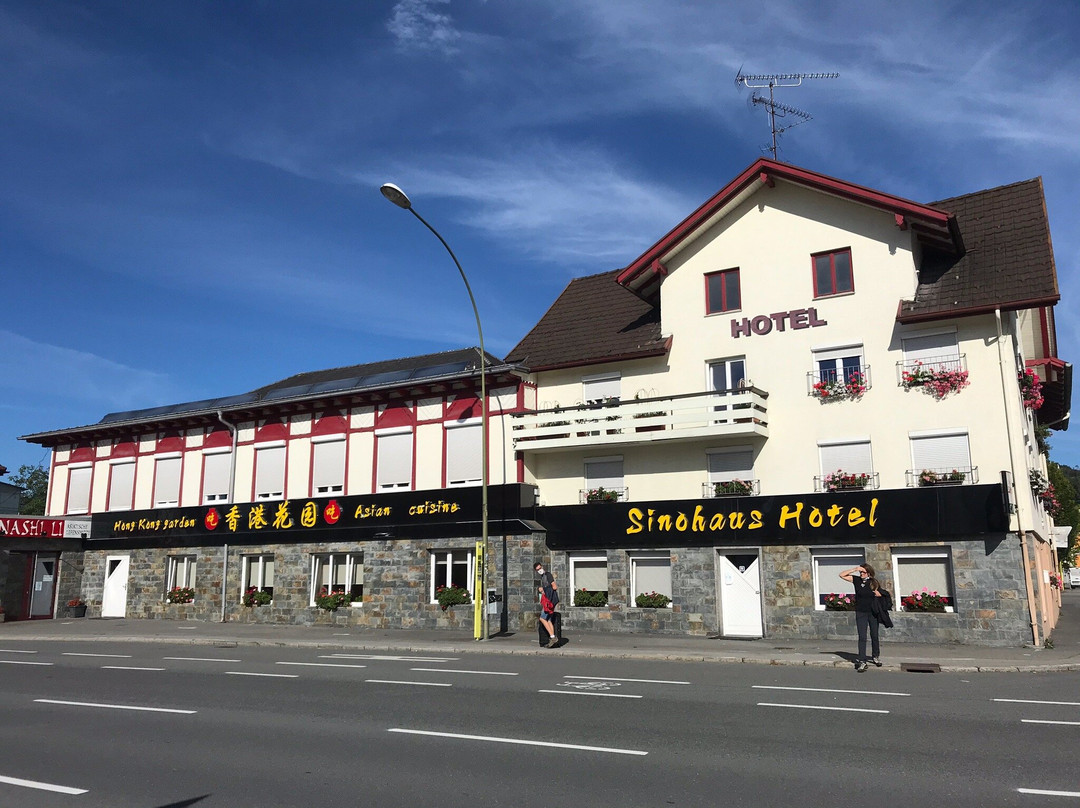 Sinohaus主图