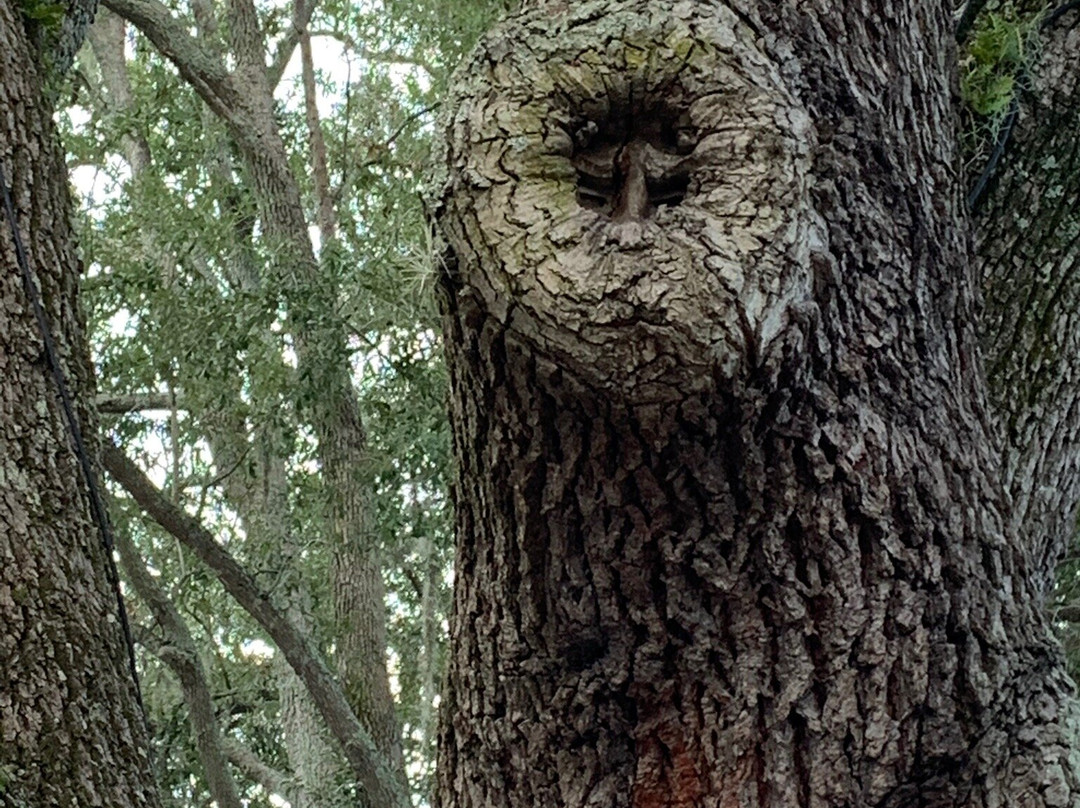 Golden Isles Welcome Center-不伦瑞克必去景点