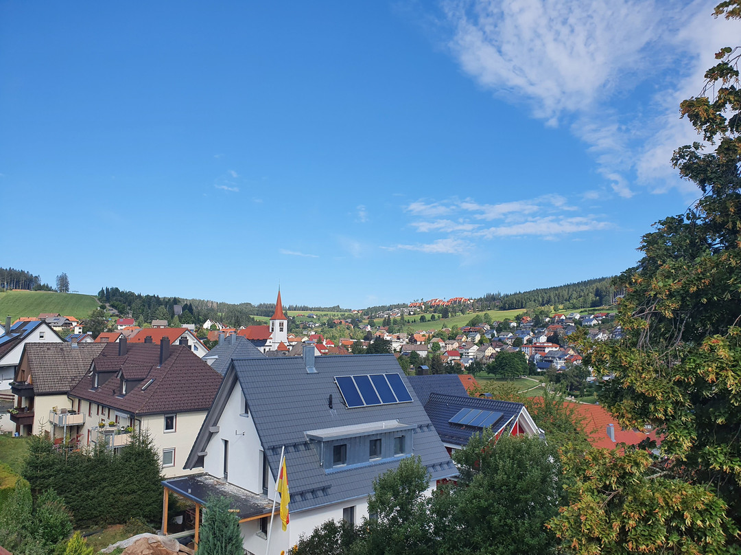 Berghotel Schiller主图